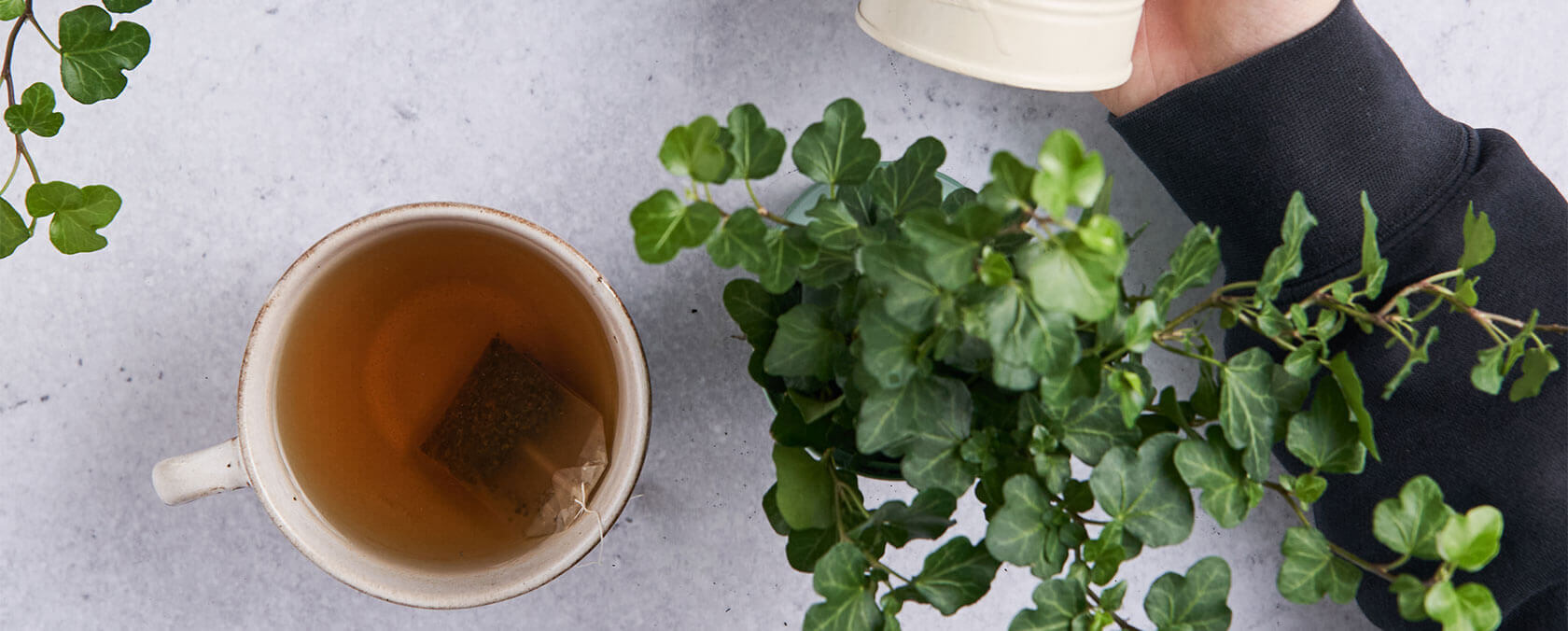 Gyömbér tea